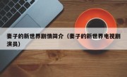 妻子的新世界剧情简介（妻子的新世界电视剧演员）