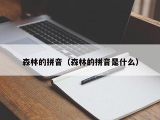 森林的拼音（森林的拼音是什么）