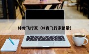 林肯飞行家（林肯飞行家销量）