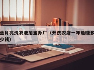 蓝月亮洗衣液加盟办厂（开洗衣店一年能赚多少钱）