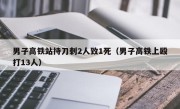 男子高铁站持刀刺2人致1死（男子高铁上殴打13人）