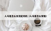 人马是怎么交流配对的（人马是怎么繁殖）