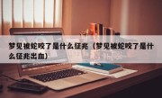 梦见被蛇咬了是什么征兆（梦见被蛇咬了是什么征兆出血）