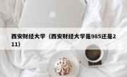 西安财经大学（西安财经大学是985还是211）