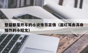 整篇都是开车的小说推荐言情（面红耳赤浑身燥热的小短文）