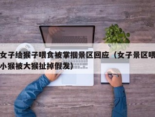 女子给猴子喂食被掌掴景区回应（女子景区喂小猴被大猴扯掉假发）