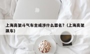 上海高架斗气车主或涉什么罪名?（上海高架飙车）