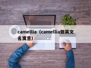 camellia（camellia做英文名寓意）