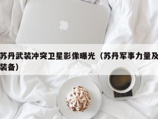 苏丹武装冲突卫星影像曝光（苏丹军事力量及装备）
