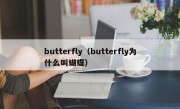 butterfly（butterfly为什么叫蝴蝶）