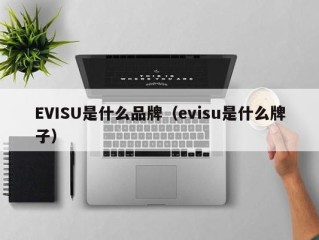 EVISU是什么品牌（evisu是什么牌子）