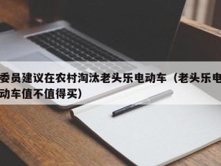 委员建议在农村淘汰老头乐电动车（老头乐电动车值不值得买）