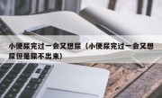 小便尿完过一会又想尿（小便尿完过一会又想尿但是尿不出来）