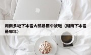 湖南多地下冰雹大鹅暴雨中被砸（湖南下冰雹是哪年）