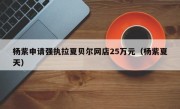 杨紫申请强执拉夏贝尔网店25万元（杨紫夏天）