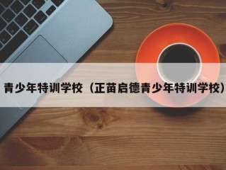 青少年特训学校（正苗启德青少年特训学校）