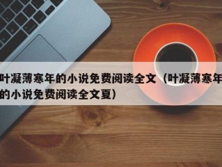 叶凝薄寒年的小说免费阅读全文（叶凝薄寒年的小说免费阅读全文夏）
