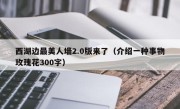 西湖边最美人墙2.0版来了（介绍一种事物玫瑰花300字）