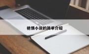艳情小说的简单介绍