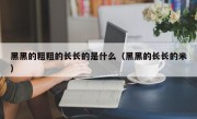 黑黑的粗粗的长长的是什么（黑黑的长长的米）