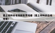 爱上特种兵电视剧免费观看（爱上特种兵在线观看）