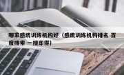 哪家感统训练机构好（感统训练机构排名 百度搜索 一搜即得）