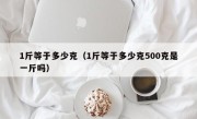 1斤等于多少克（1斤等于多少克500克是一斤吗）