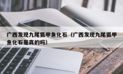 广西发现九尾狐甲鱼化石（广西发现九尾狐甲鱼化石是真的吗）