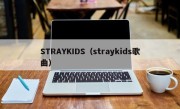 STRAYKIDS（straykids歌曲）