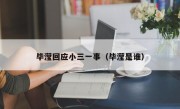 毕滢回应小三一事（毕滢是谁）