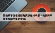偷偷藏不住电视剧免费版在线观看（偷偷藏不住电视剧全集免费版）