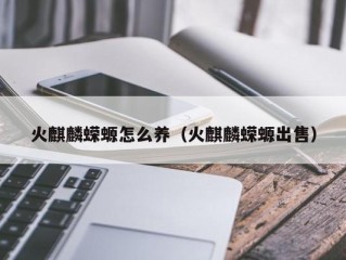火麒麟蝾螈怎么养（火麒麟蝾螈出售）