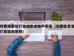 双胞胎萌娃打架道歉成相声现场（双胞胎宝宝打架搞笑视频）