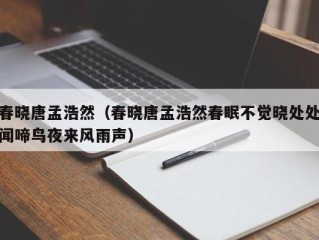 春晓唐孟浩然（春晓唐孟浩然春眠不觉晓处处闻啼鸟夜来风雨声）