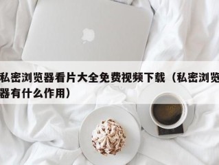 私密浏览器看片大全免费视频下载（私密浏览器有什么作用）