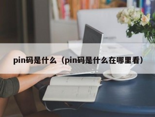 pin码是什么（pin码是什么在哪里看）
