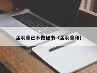 孟羽童已不做秘书（孟羽童和）