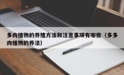 多肉植物的养殖方法和注意事项有哪些（多多肉植物的养法）