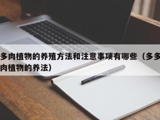 多肉植物的养殖方法和注意事项有哪些（多多肉植物的养法）